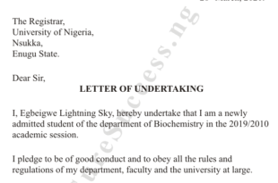 How to Write Letter of Undertaking [See Samples]