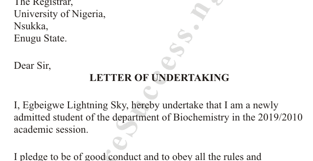 How to Write Letter of Undertaking [See Samples]