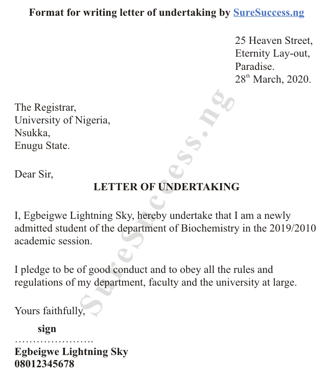 Letter Of Undertaking Template