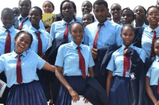 primary and secondary school scholarships