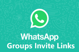 Schools Whatsapp Groups Invite Links to Join
