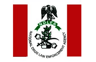 NDLEA ranks. NDLEA meaning. NDLEA salary structure
