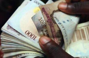 yahoo boys whatsapp group link