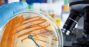 9 waec subjects for Microbiology