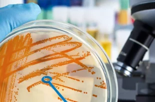 9 waec subjects for Microbiology