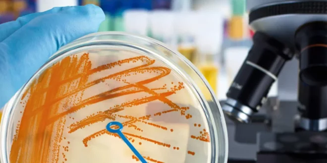 9 waec subjects for Microbiology