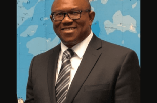 peter obi net worth