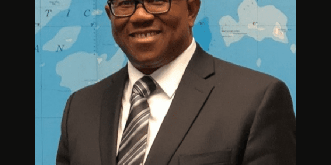peter obi net worth