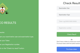 neco result checker