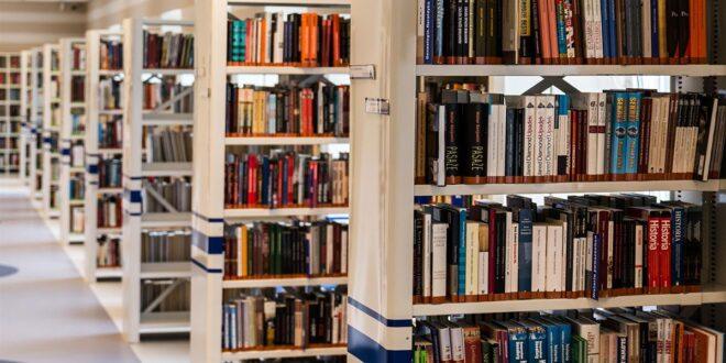 Is Library and Information Science an art course?