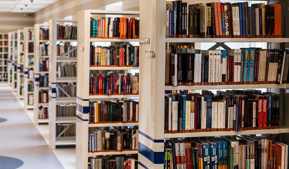 Is Library and Information Science an art course?