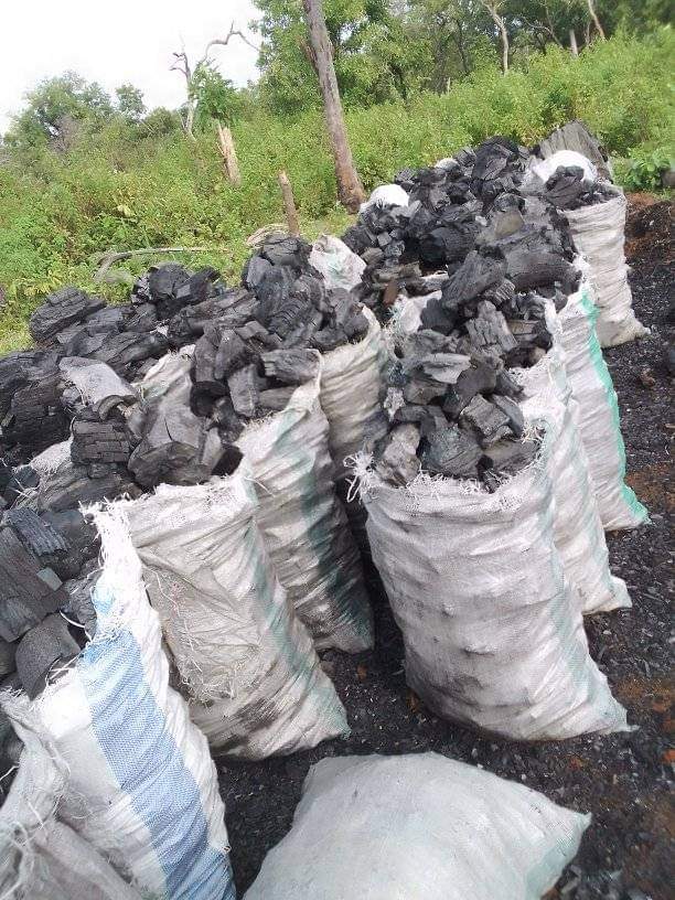 Charcoal business in Nigeria 