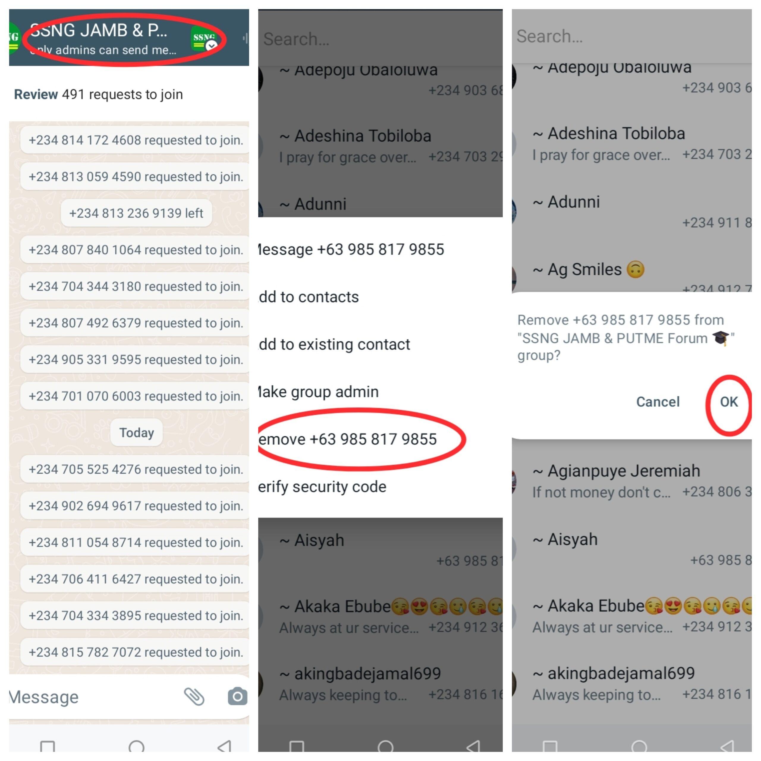 Remove WhatsApp group members 