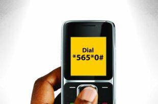 how to check bvn