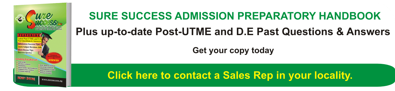 sure success sitemap