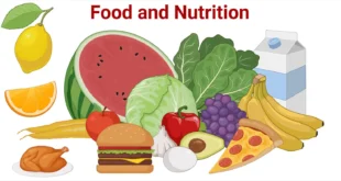 Food and nutrition exam questions for ss3 first term