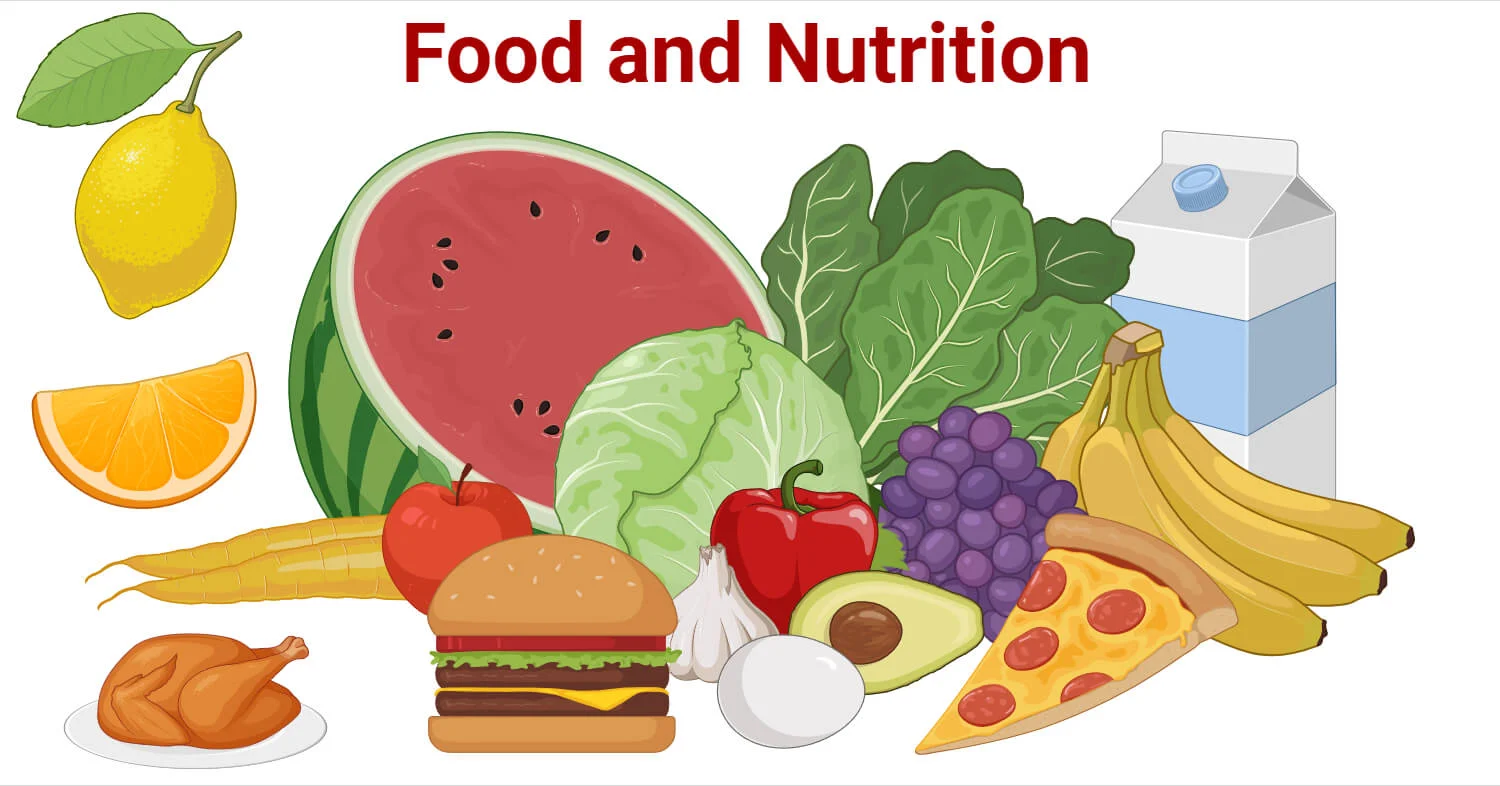 Food and nutrition exam questions 