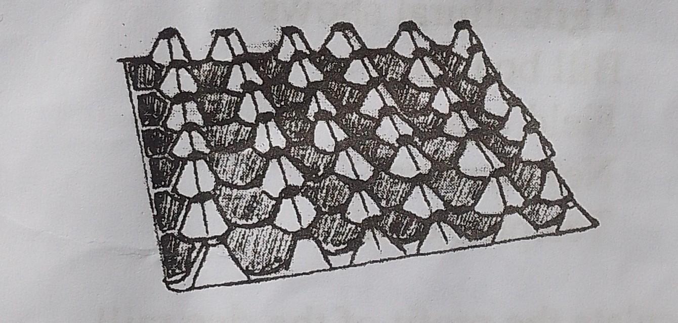 Egg crate